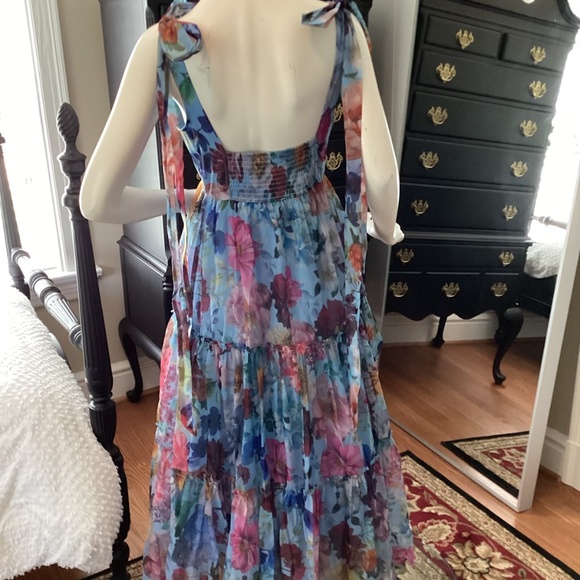 A6 - #281 Francesca's AUDREY PARKS LT BLUE FLORAL MAXI DRESS - Picture 4 of 11